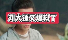 刘大锤12点的爆料视频